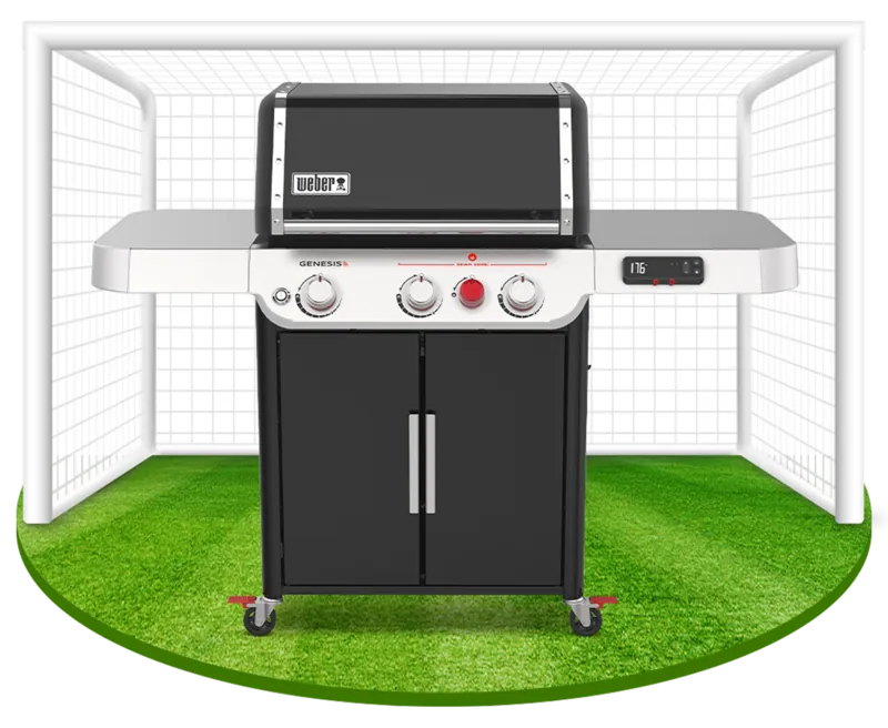 Weber-Grill